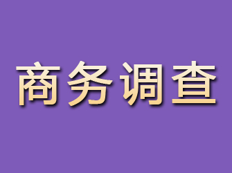 樊城商务调查